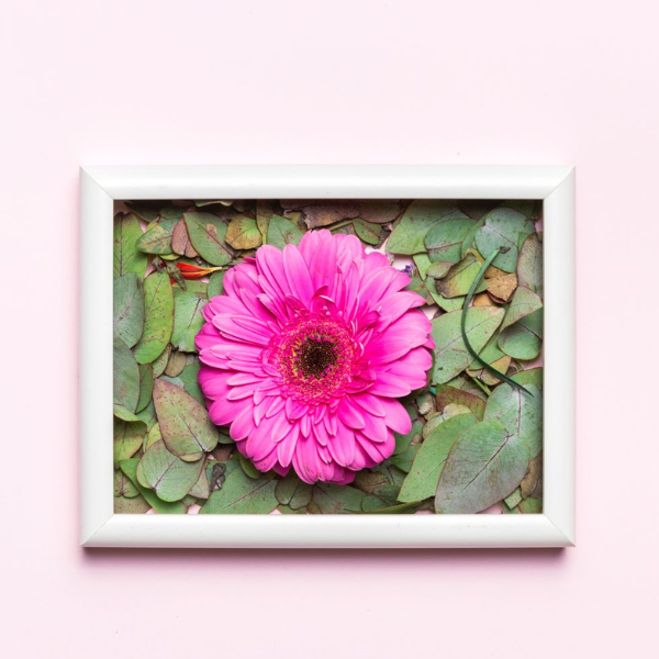 Aryana Lace Up Halter Top