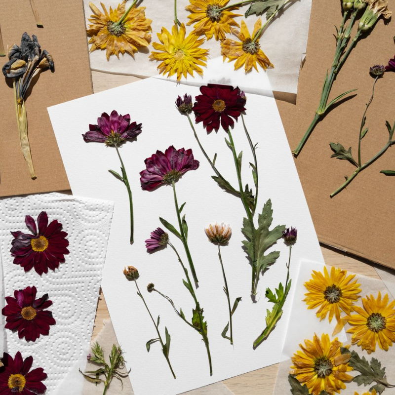 Varible Vixen On Vacation